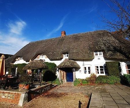 The Hatchet Inn Chute ภายนอก รูปภาพ