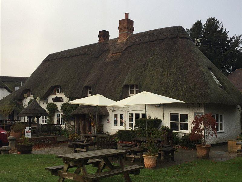 The Hatchet Inn Chute ภายนอก รูปภาพ