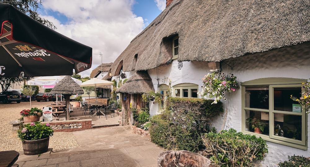 The Hatchet Inn Chute ภายนอก รูปภาพ