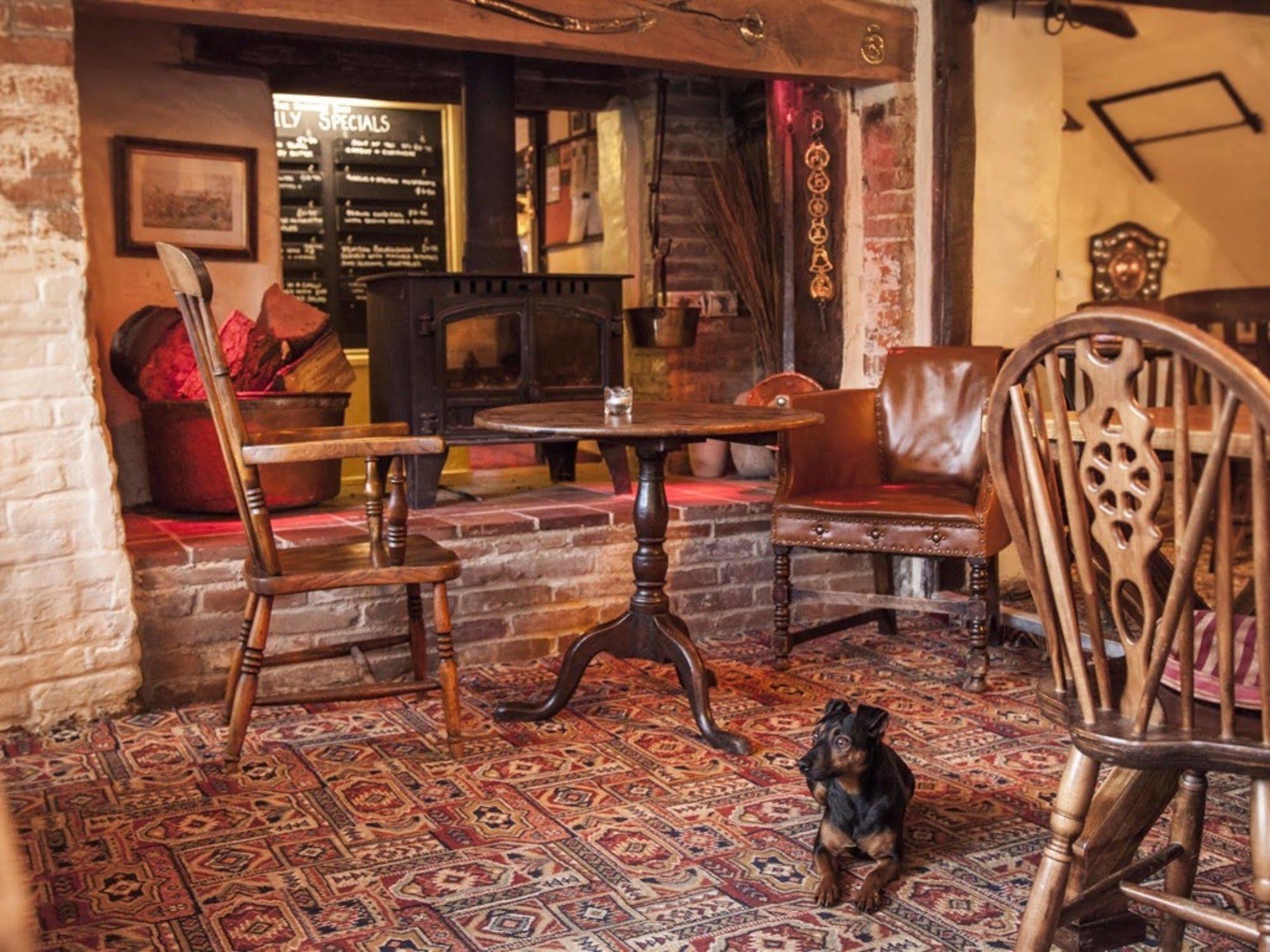 The Hatchet Inn Chute ภายนอก รูปภาพ